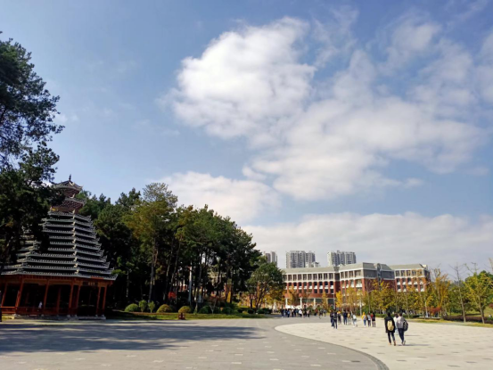 贵州大学图书馆官网（印象大学）