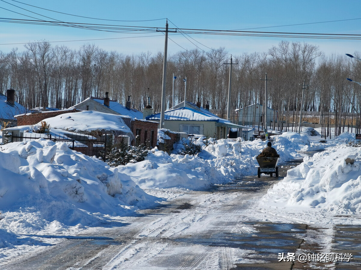 东北或现“座冬雪”，座冬雪有多可怕？东北虎和野猪会受灾吗？