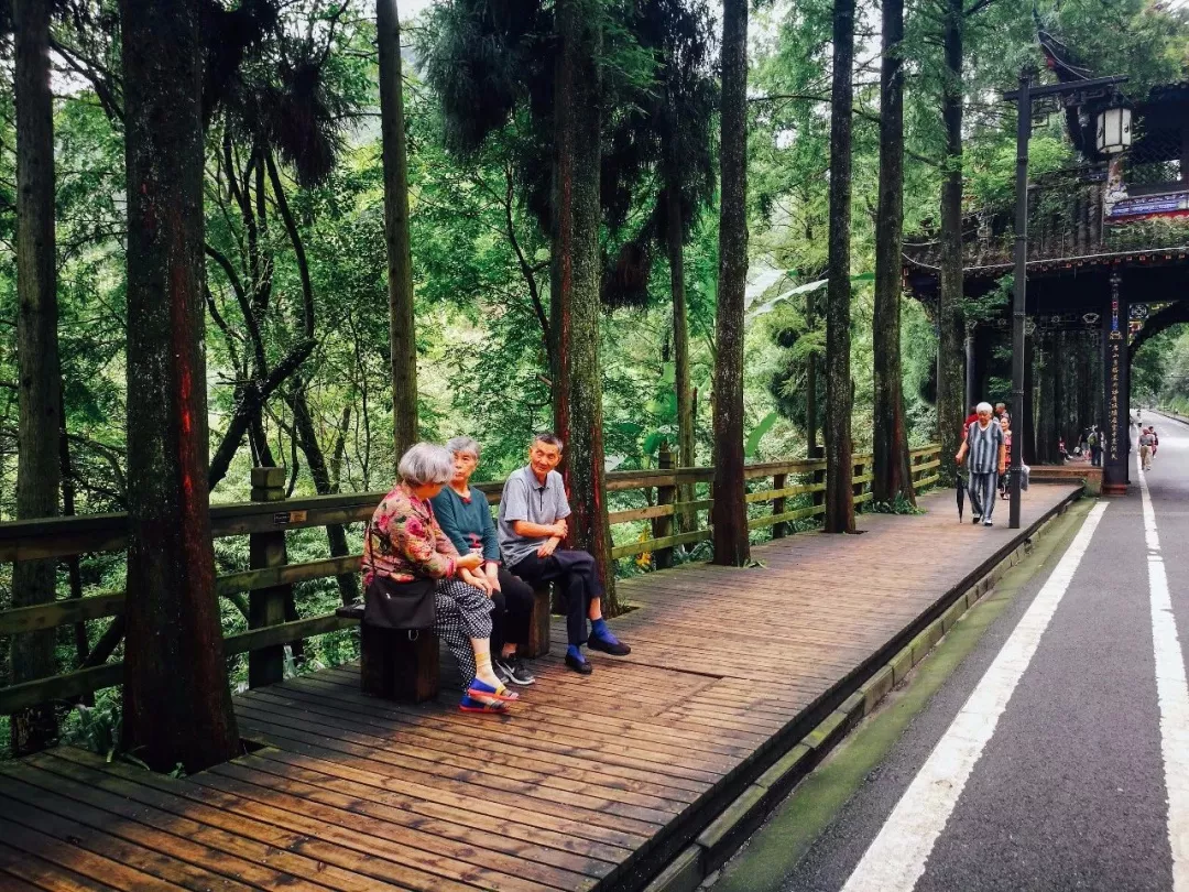 到青城山，解锁夏日最最最清凉的耍法