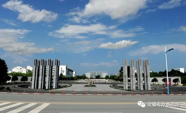 安徽专升本 | 2019年黄山学院旅游管理专业备考经验