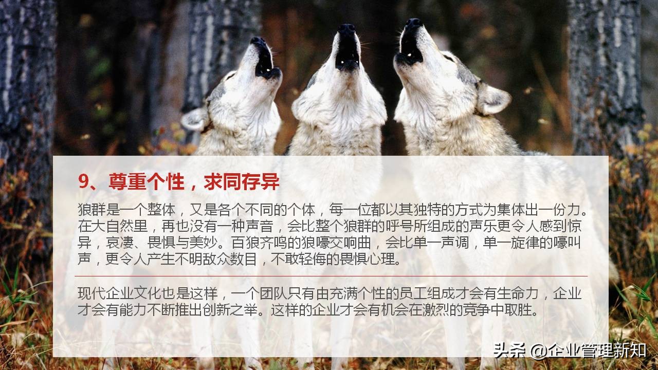 33页完整版，狼性文化与企业精神培训PPT，可直接用于员工培训