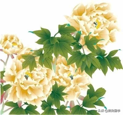 精选165句古诗词中那些描写菊花的诗句：采菊东篱下，悠然见南山