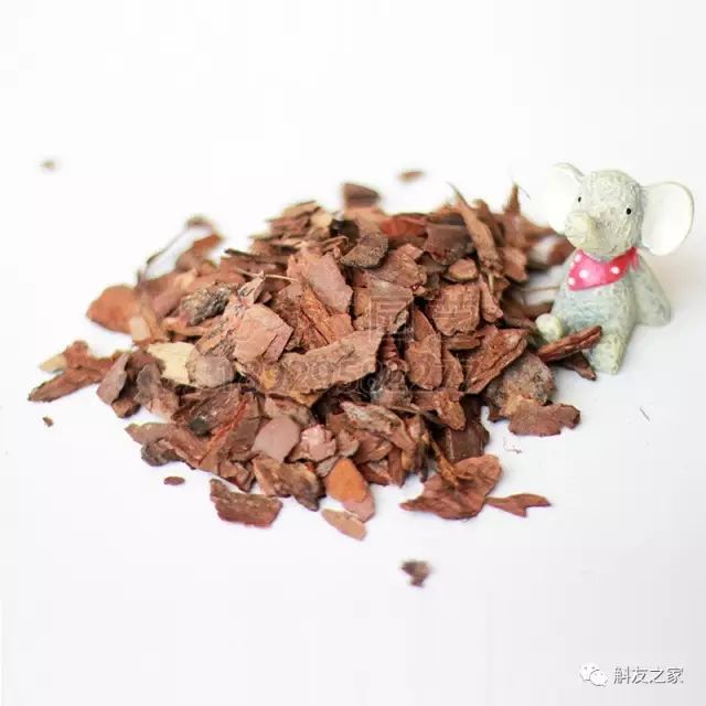 种石斛兰的植料，原来这样配比种一盆活一盆…