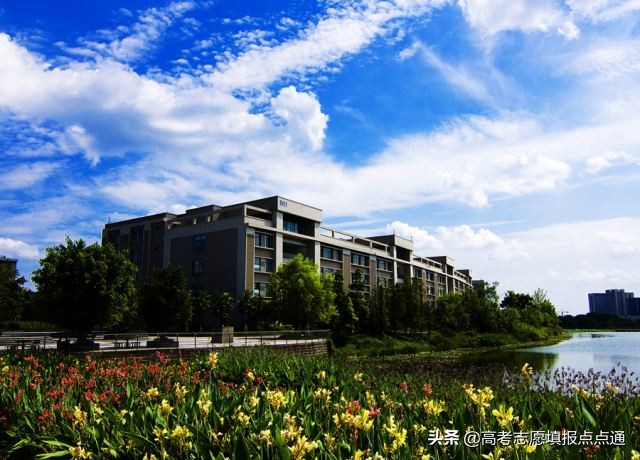 重庆交通大学优势专业分析及2019、2018、2017年各省录取分数线