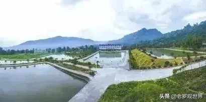 【一周快讯】看平昌这一周大事小情