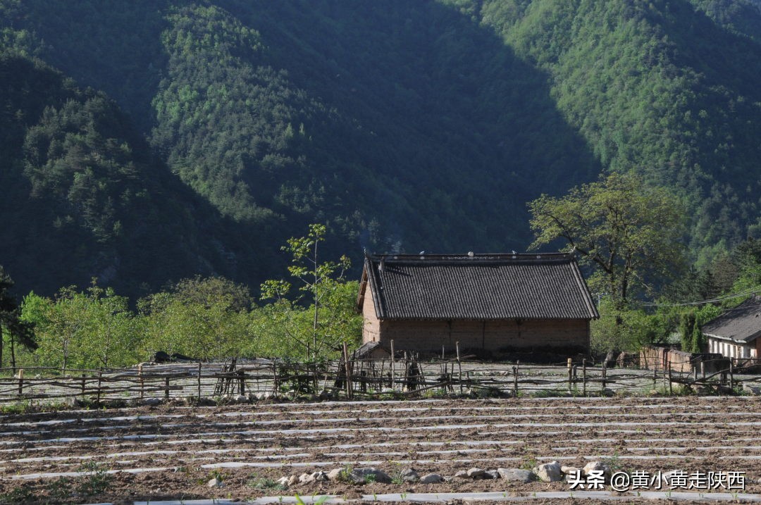 探秘东秦岭，原来从西安到商洛还有这样一条密道，一路都是风景