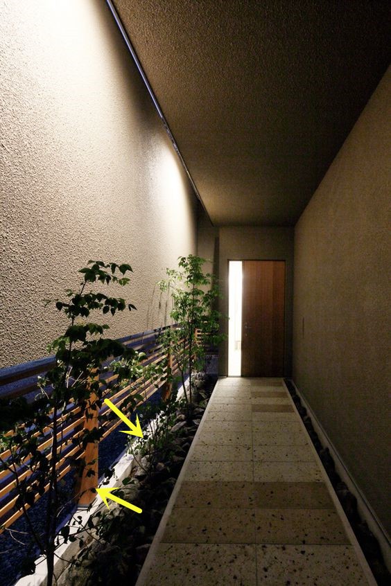 有一说一有钱人家走廊都能挤出20cm宽造花园一步一景胜过庭院