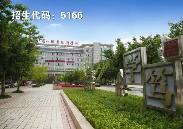 四川单招“文化艺术”大类相关专业及院校推荐