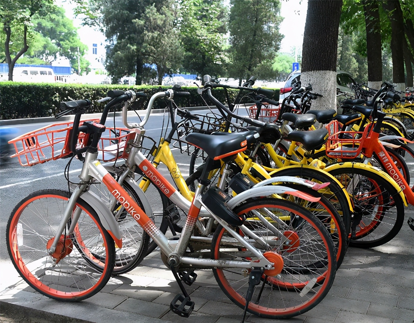 自行车是城市污染的祸首？东南大学教授为何这么说？背后隐藏真相