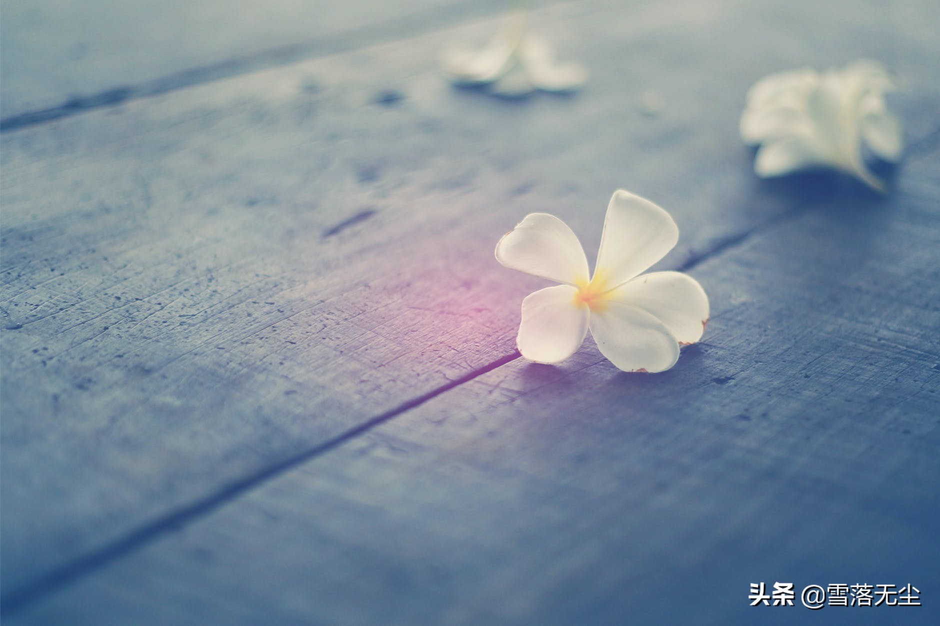 无论和谁在一起，别高估感情，别低估人性