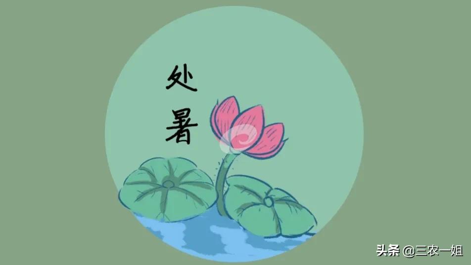 “处暑下雨万人愁”是什么意思？今年处暑下雨了吗？下雨不好吗？