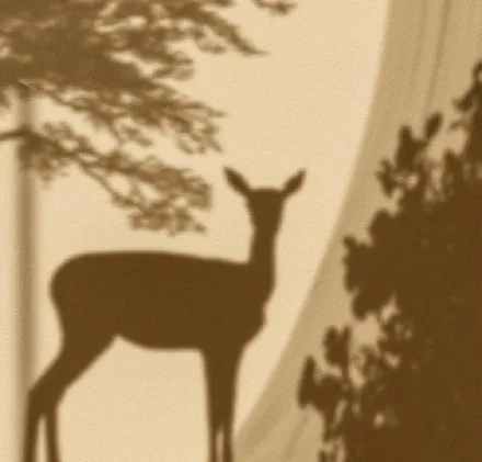 大学生副业兼职推荐，亲身经历分享