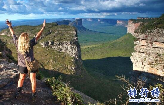 世界上最大的高原是哪里？