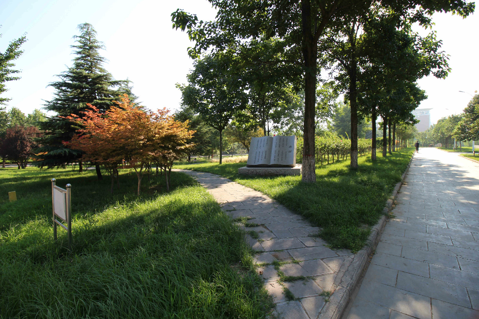 合并两所高校，筹建新的大学，河南网友三条建议获得两点回复