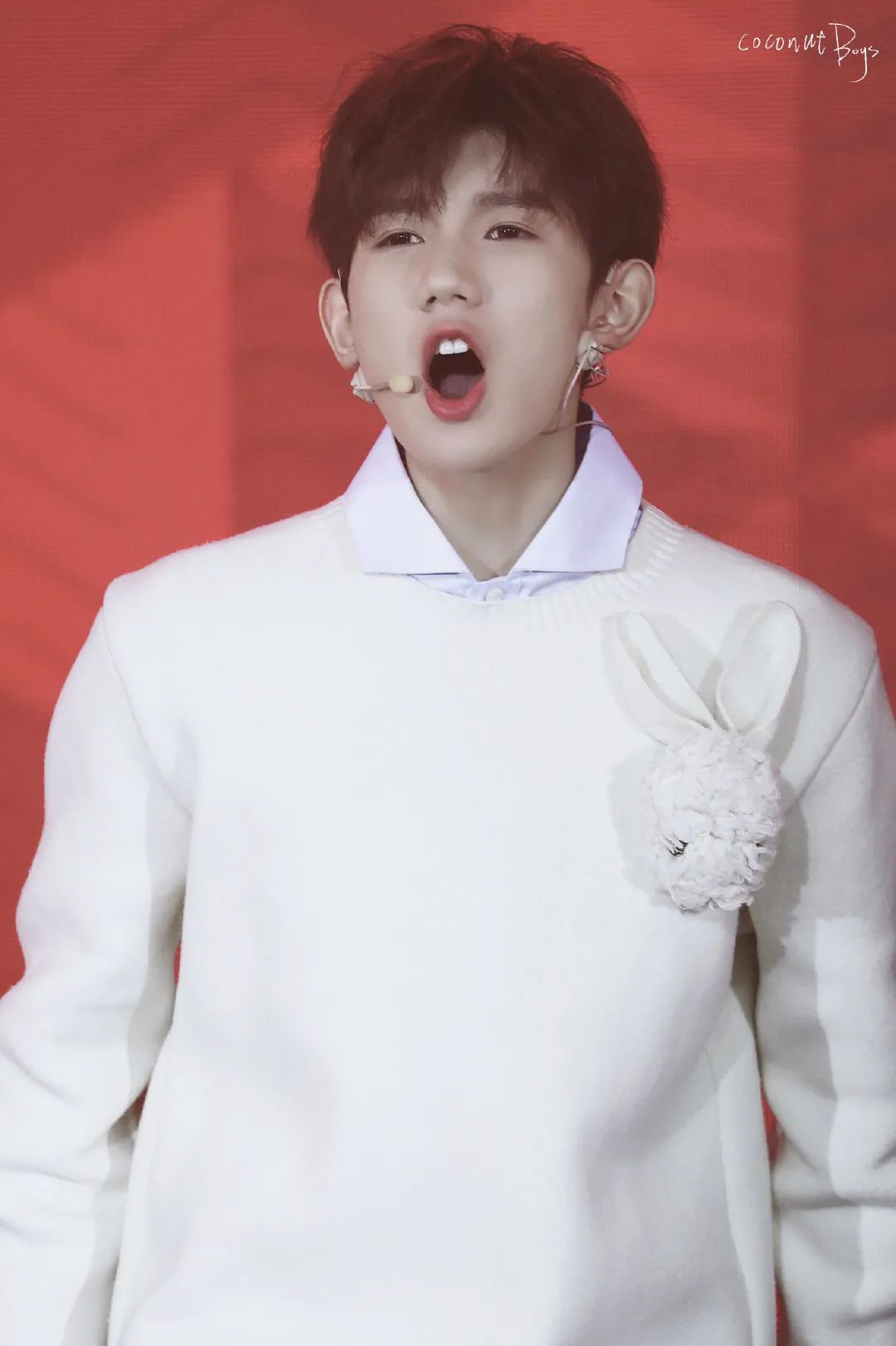 除了杨洋,还有哪些软糯糯的兔系明星?