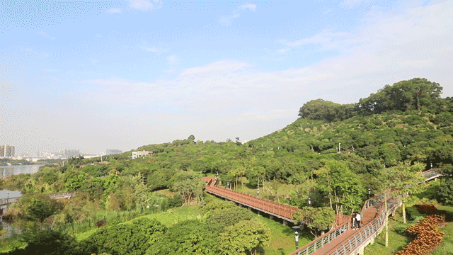 深圳十大免费特色的湖泊公园