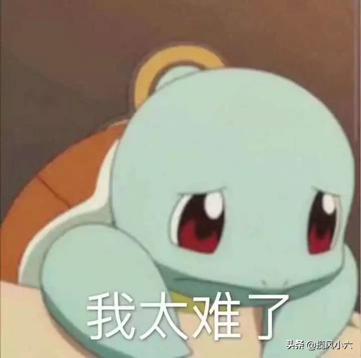 新手小白应该怎么涨粉