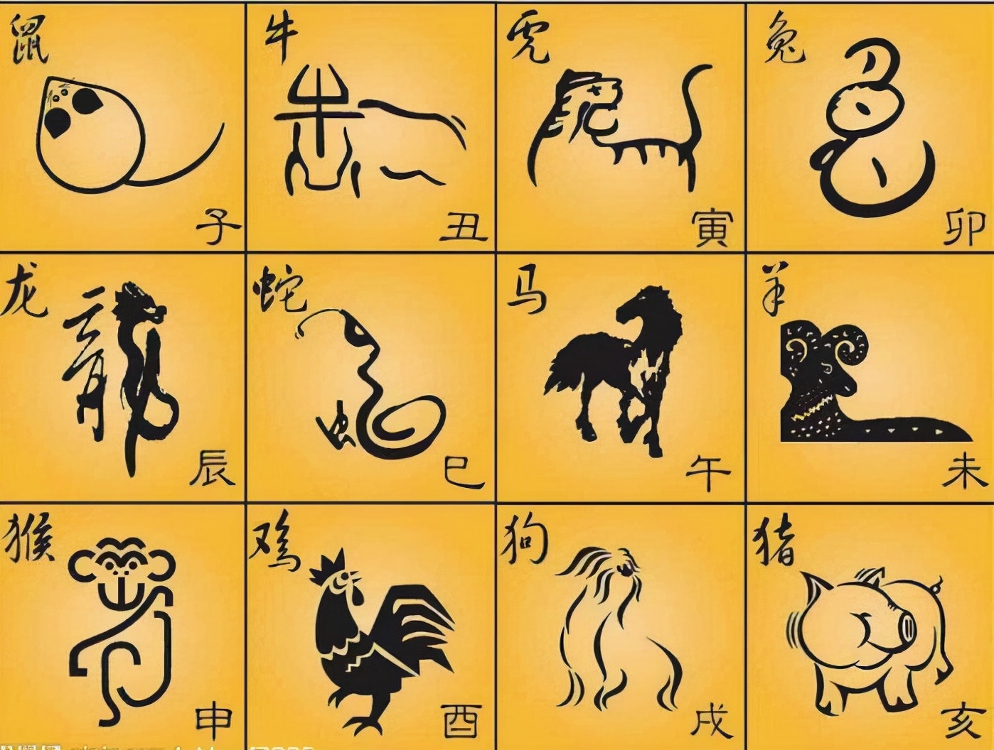 "十二生肖"的阴阳属性,其实和爪子有关,如何划分的