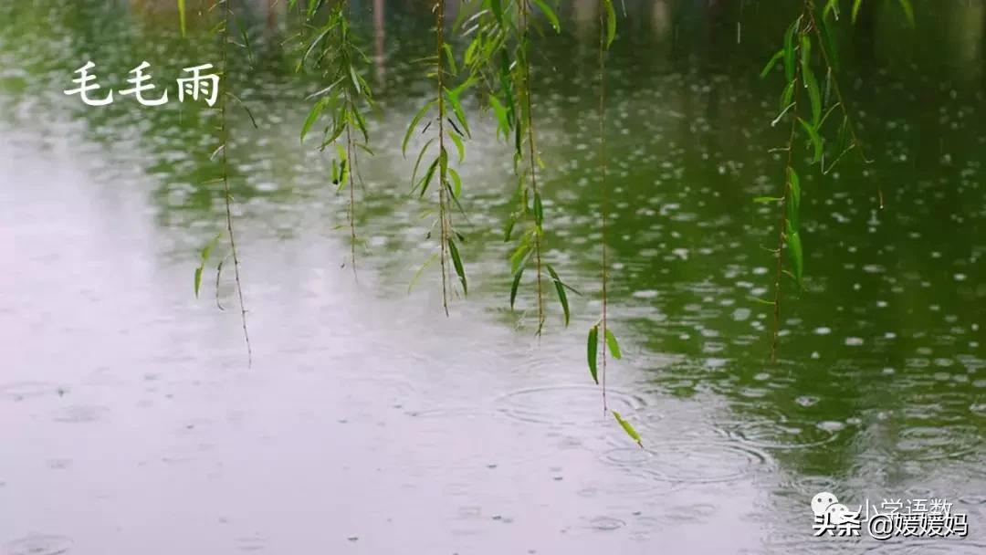 二年级下册语文课文16《雷雨》图文详解及同步练习