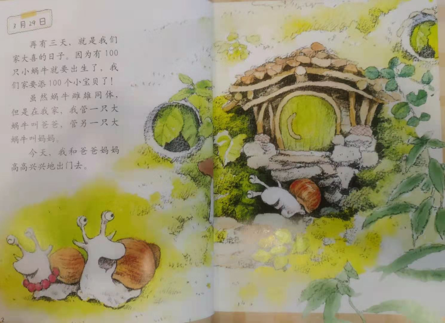 绘本让我们看到了蜗牛们在自然中生活的模样,从开篇可以看到蜗牛们