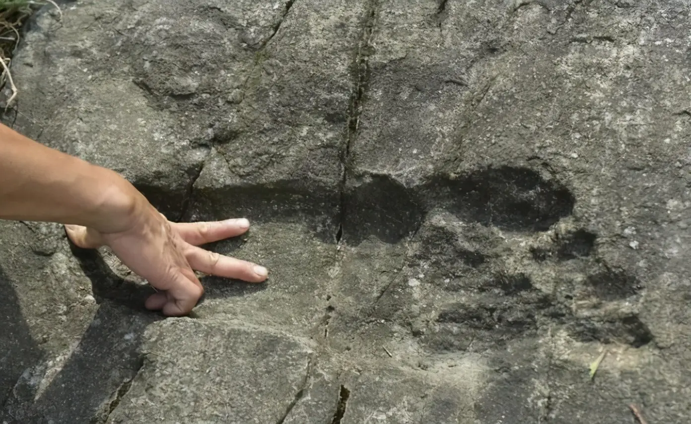 科学家不敢公开的发现（世界上曾有5米高的巨人）