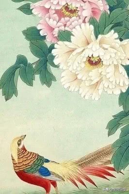 精选165句古诗词中那些描写菊花的诗句：采菊东篱下，悠然见南山