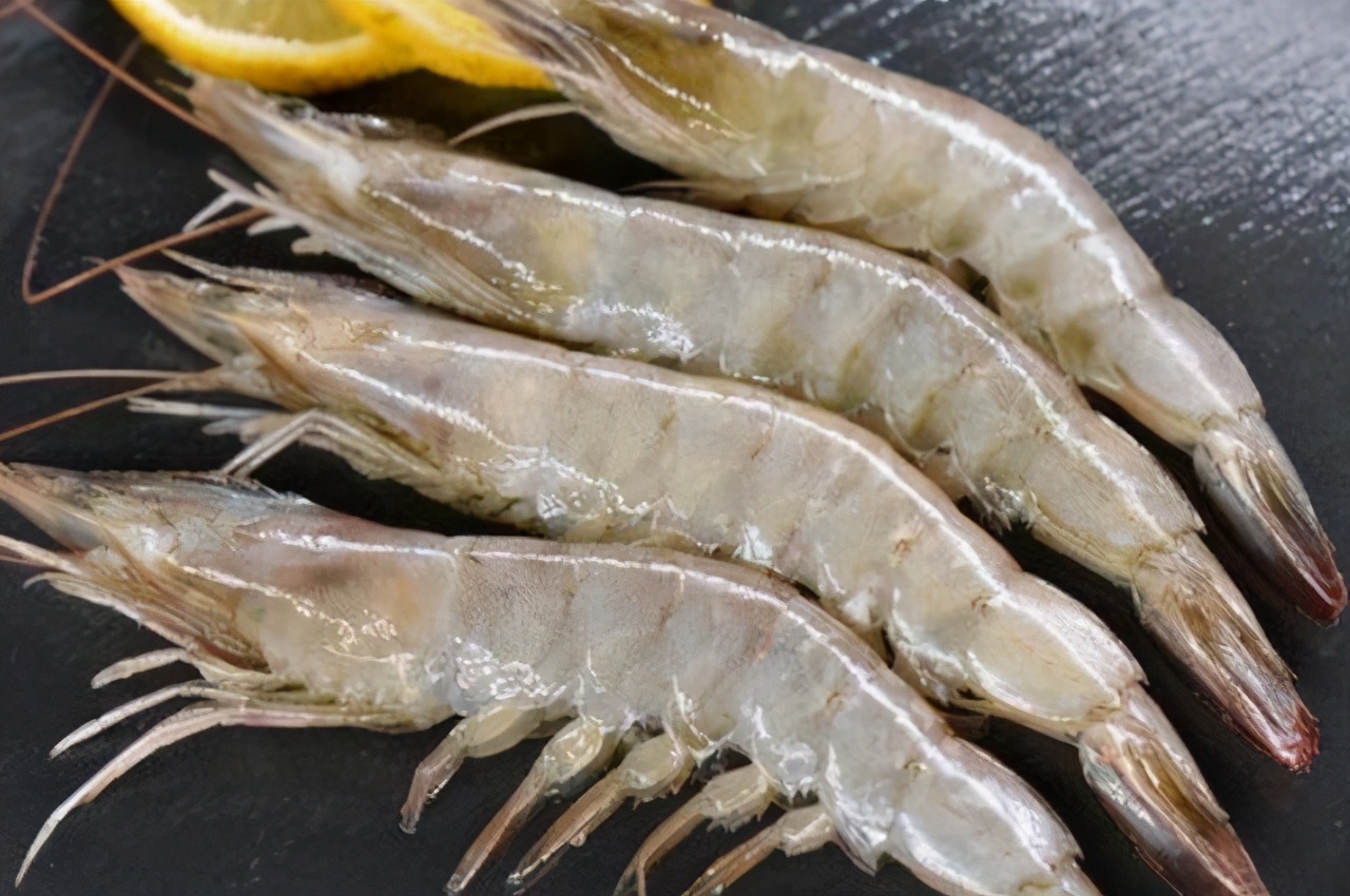 基围虾是海鲜吗是发物吗及是河虾吗