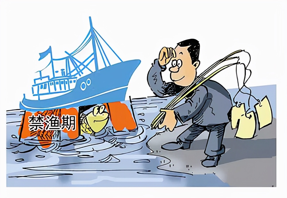“我只捕了2兩河蝦，就要坐牢？”安徽六旬老人捕撈河蝦獲刑1個月