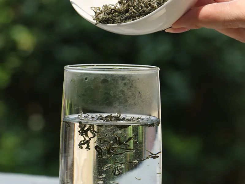 你可能忽略的10個(gè)泡茶小常識(shí)