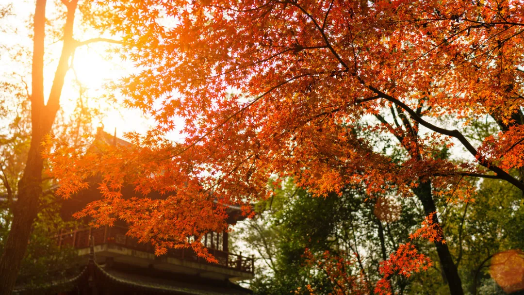太美了!10个愈秋愈美的小众旅行地,错过只能再等一年