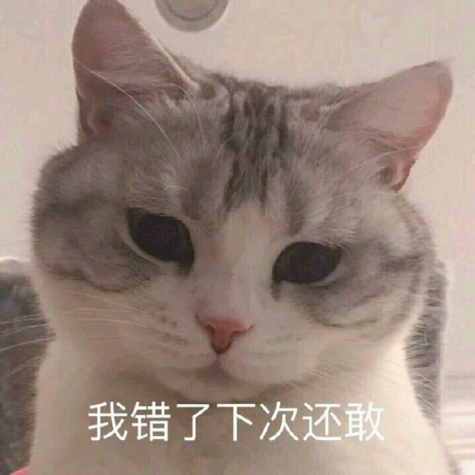 猫生气了表情