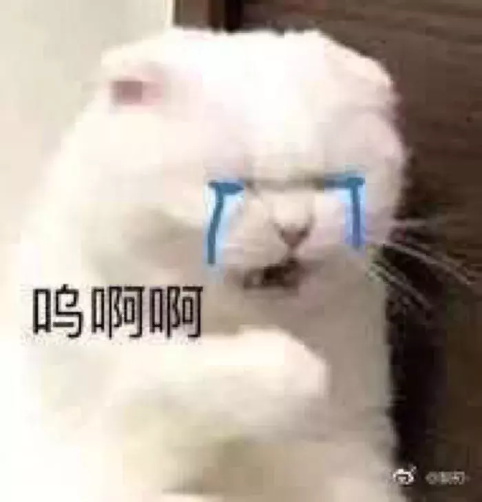 直男会送女生什么礼物（直男喜欢什么礼物）