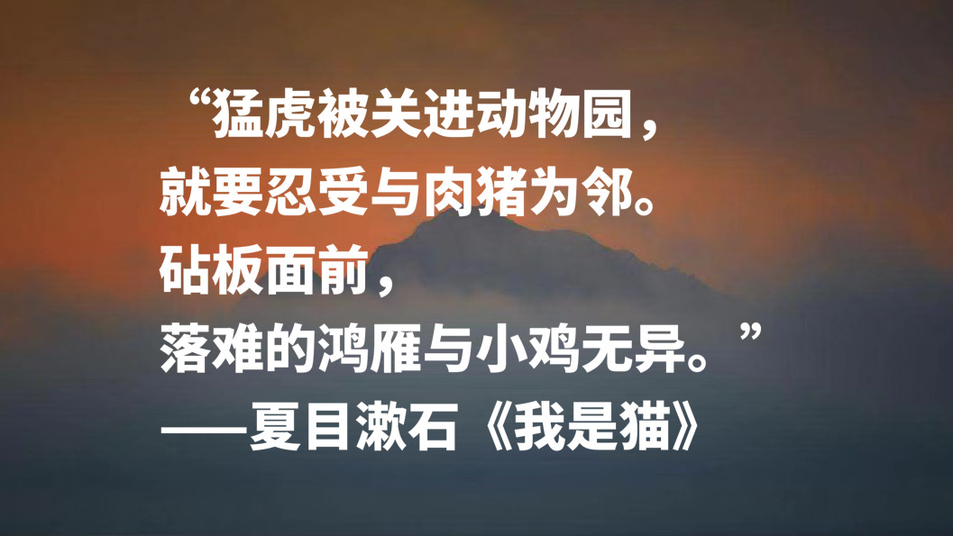 日本文学巨匠夏目漱石，代表作《我是猫》十句摘抄，句句轻快洒脱