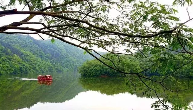 三月踏青最佳赏樱花之地,信阳这个aaaa景区免门票!