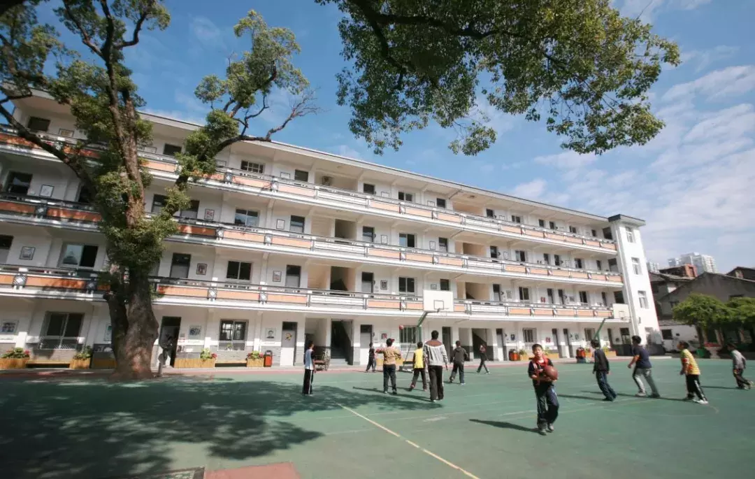 据说，这是全温州最好的十所小学！
