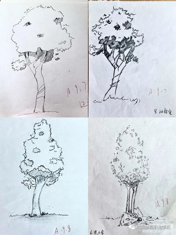 咸阳梦圆职业学校——学生绘画作品展