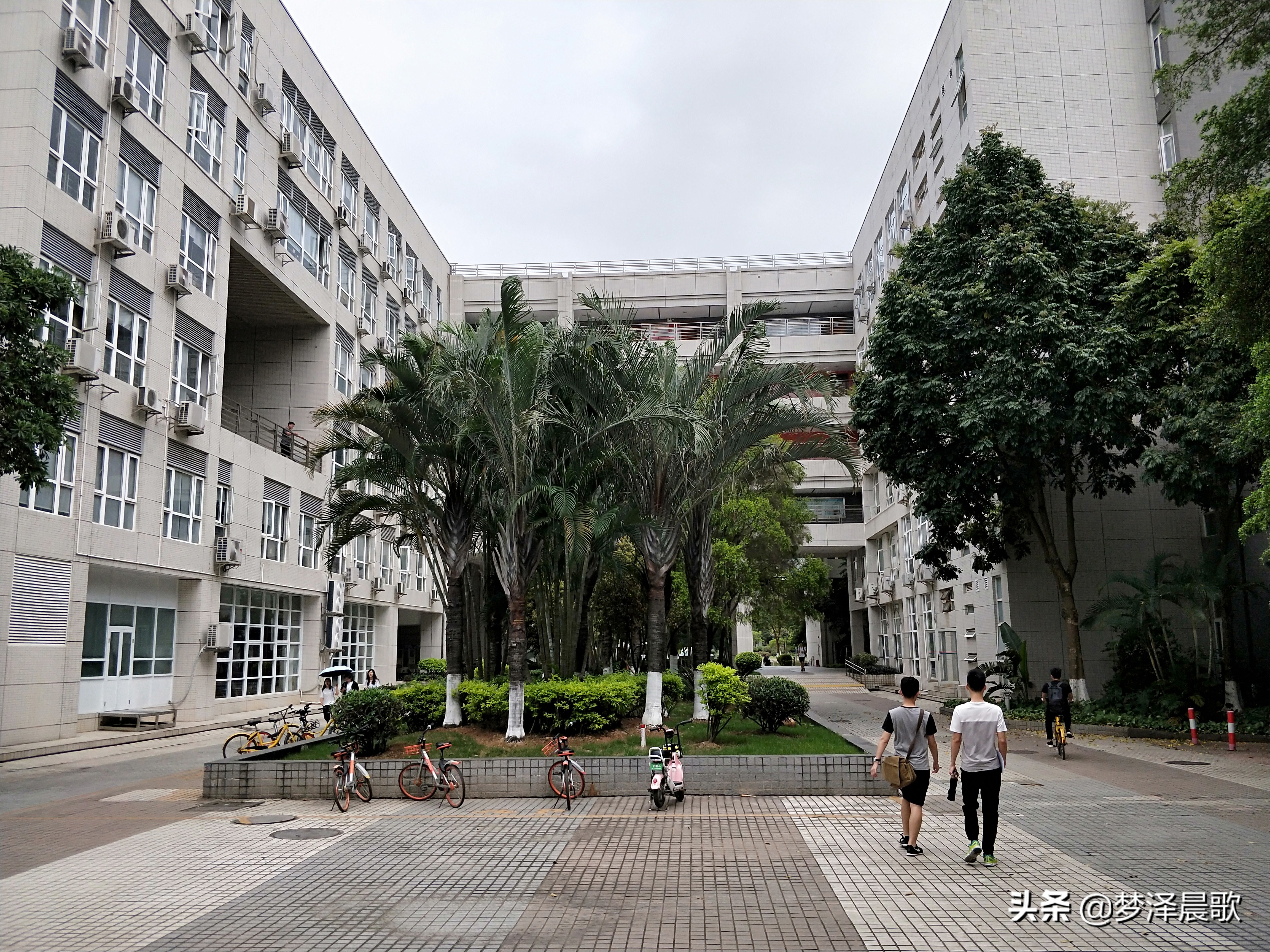 美丽校园“广州大学”