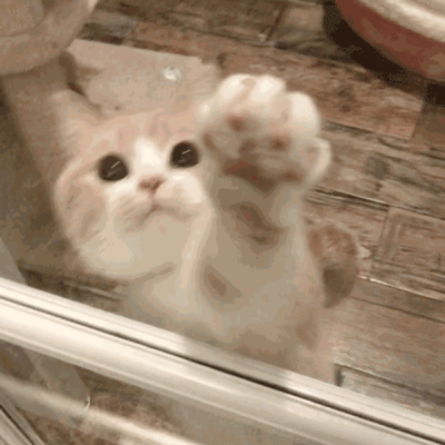 2020版最新法官、检察官表情大全！哈哈哈