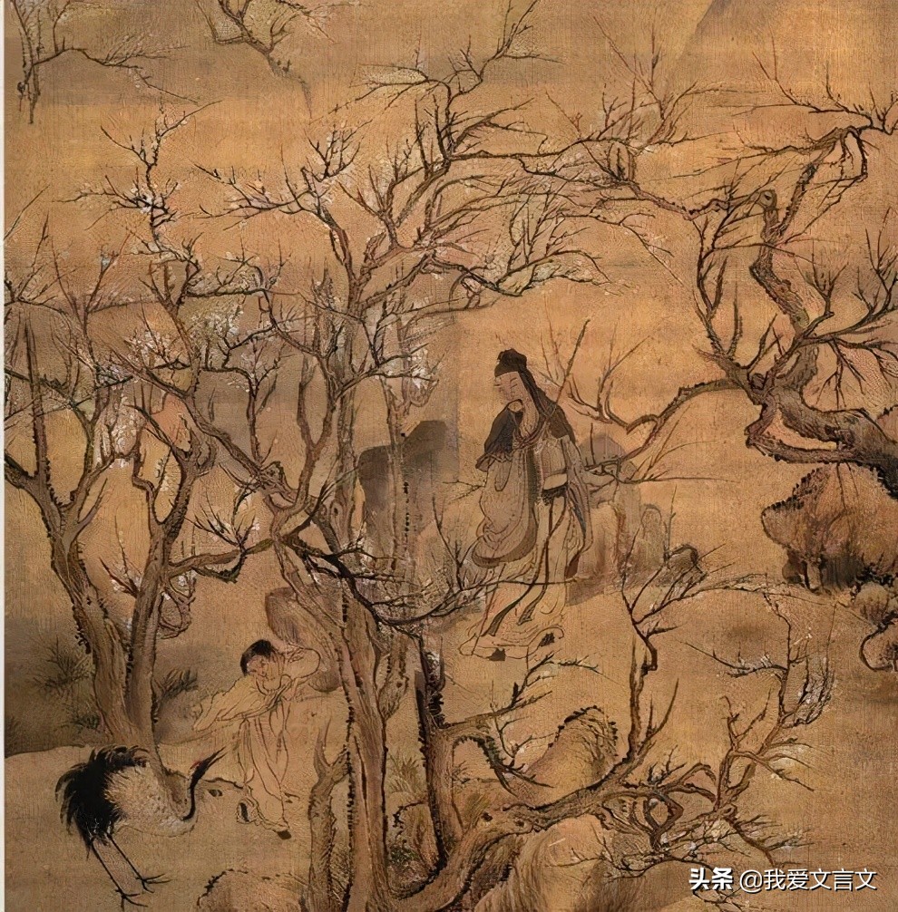 经典文言文赏析 | 林逋养鹤