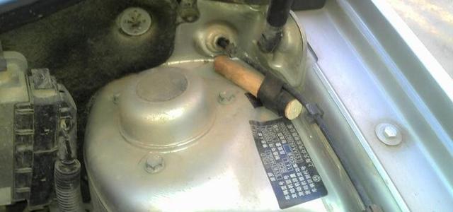 发动机舱进了老鼠，不仅恶心还毁车！有什么办法解决？