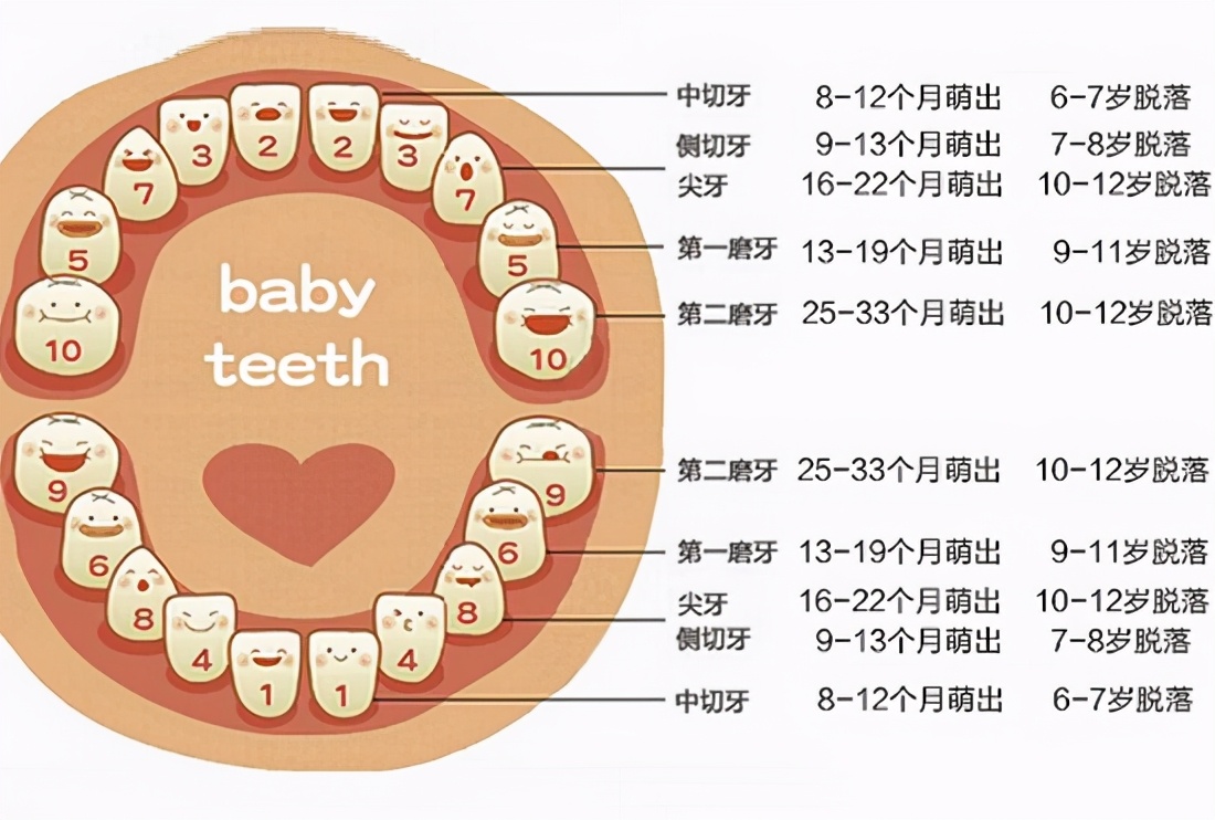 婴儿多大长牙齿（宝宝出牙不要着急）