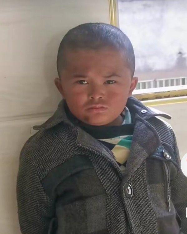 小马云资料个人资料(小马云) - 散下步