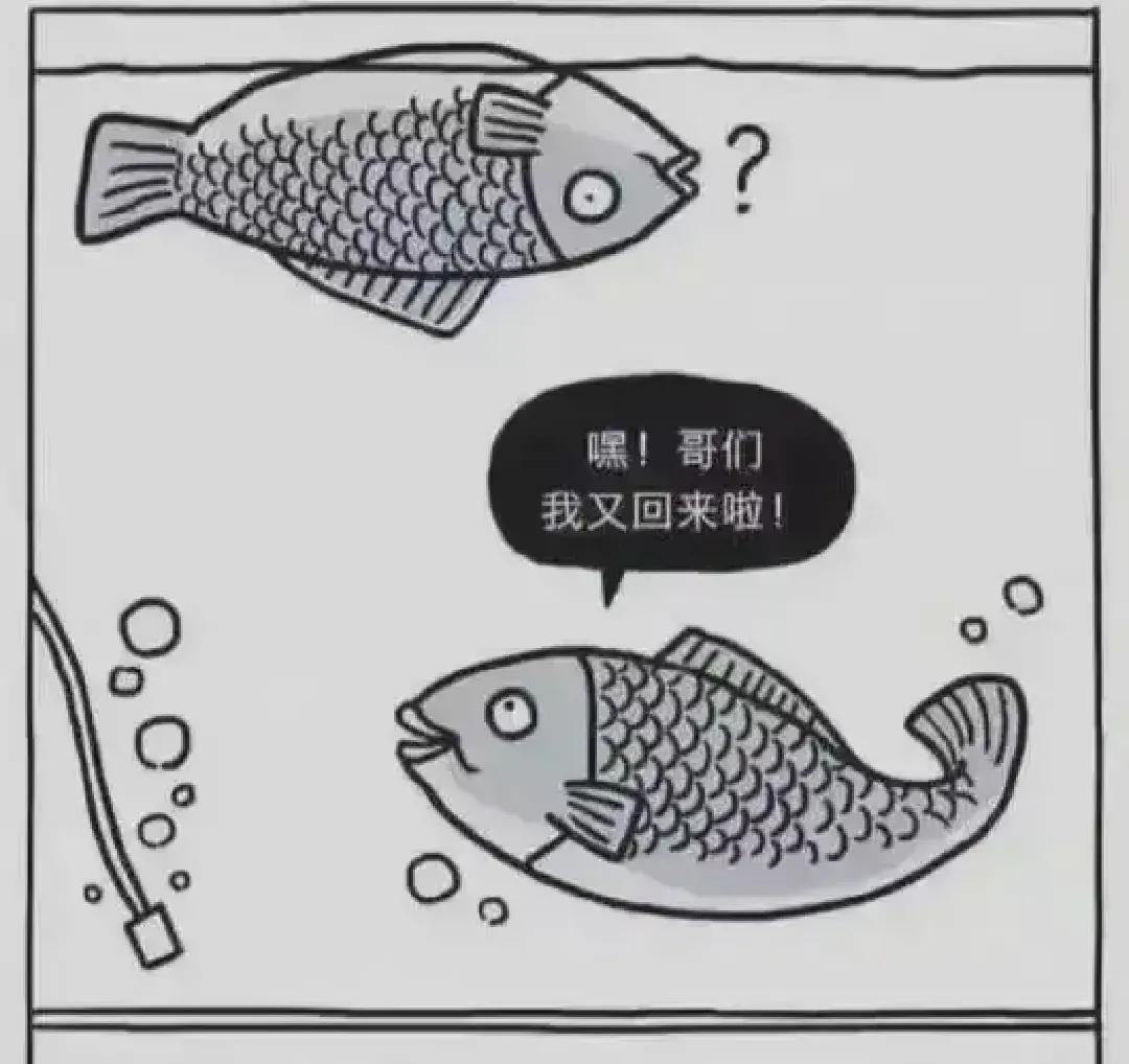 两条鱼的故事