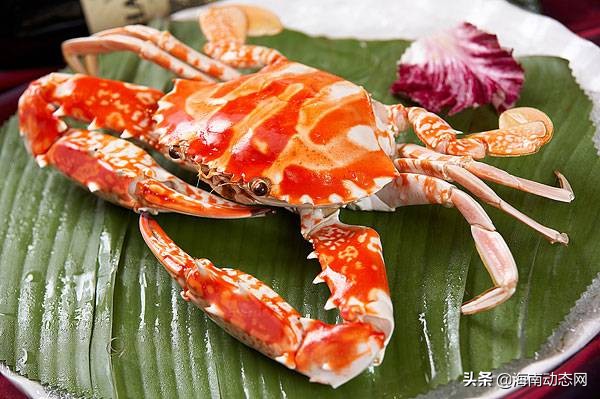 海魚圖片大全,海魚圖片大全及名稱