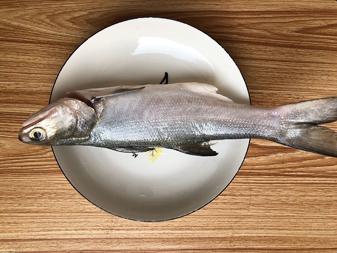 不愧是排名第一好吃的海鱼,肉质鲜嫩鱼刺少,清蒸最鲜美营养高