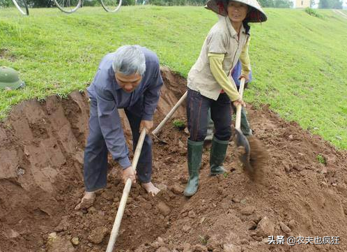 “老大宠老三惯，老二受气倒霉蛋”有道理吗？为何老二不受待见？