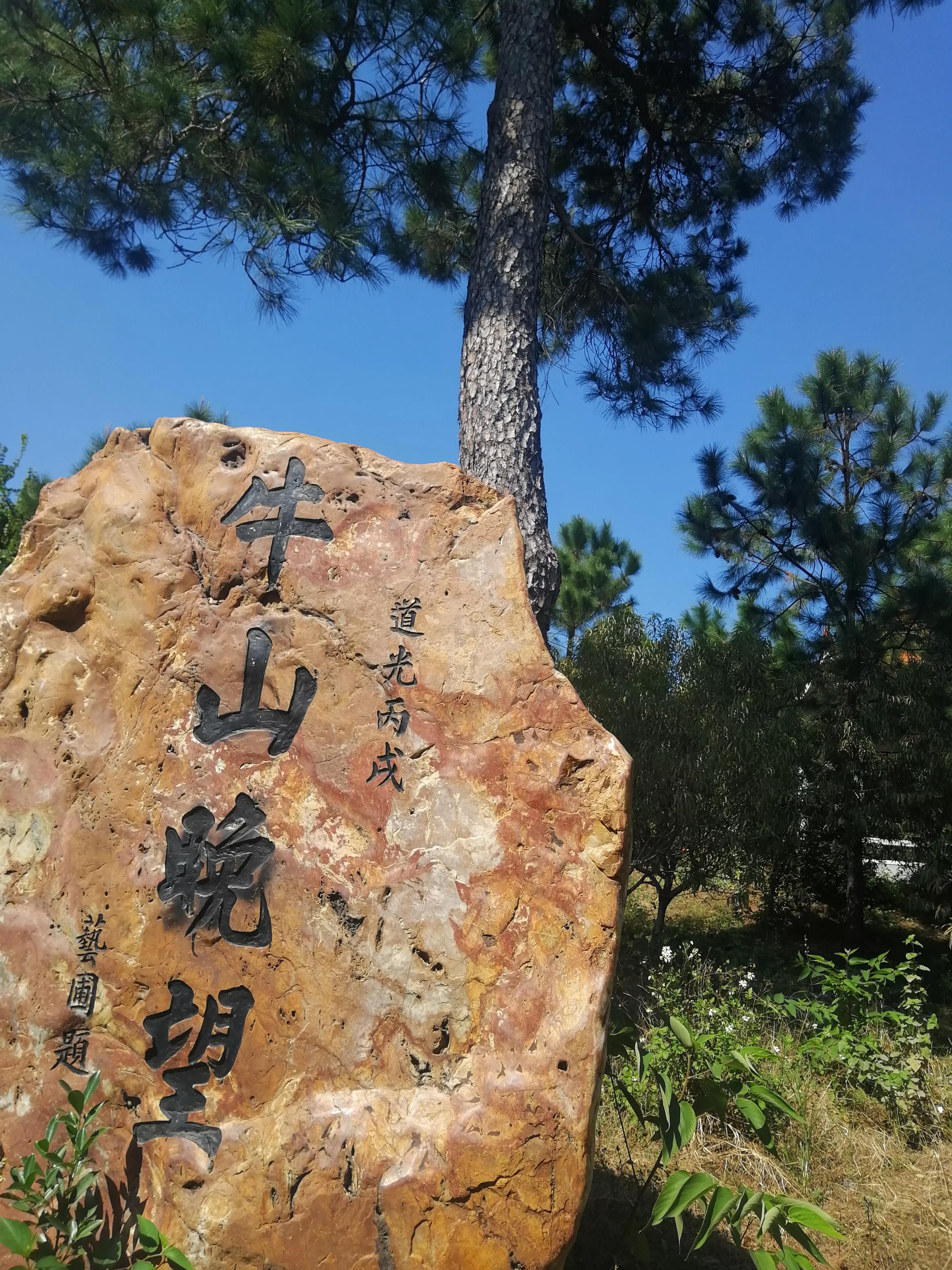 去处,在水牛山公园旁边,潭山村似乎搞一些大工程———广州文化艺术村