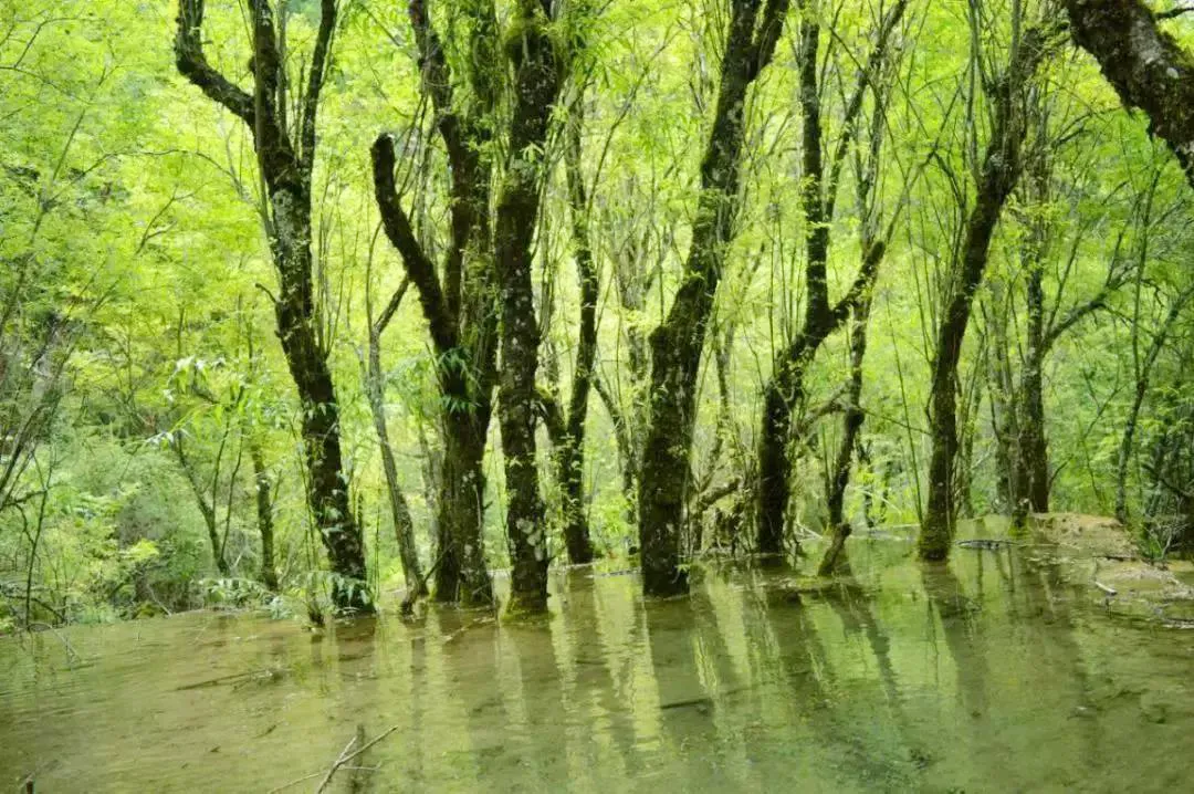 均温20℃！周边7个耍水宝地，冲浪滑水观瀑，最快1h清凉度夏