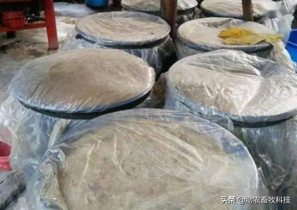 将茶籽壳加工成动物饲料的操作技术，药饲兼用运用效果好