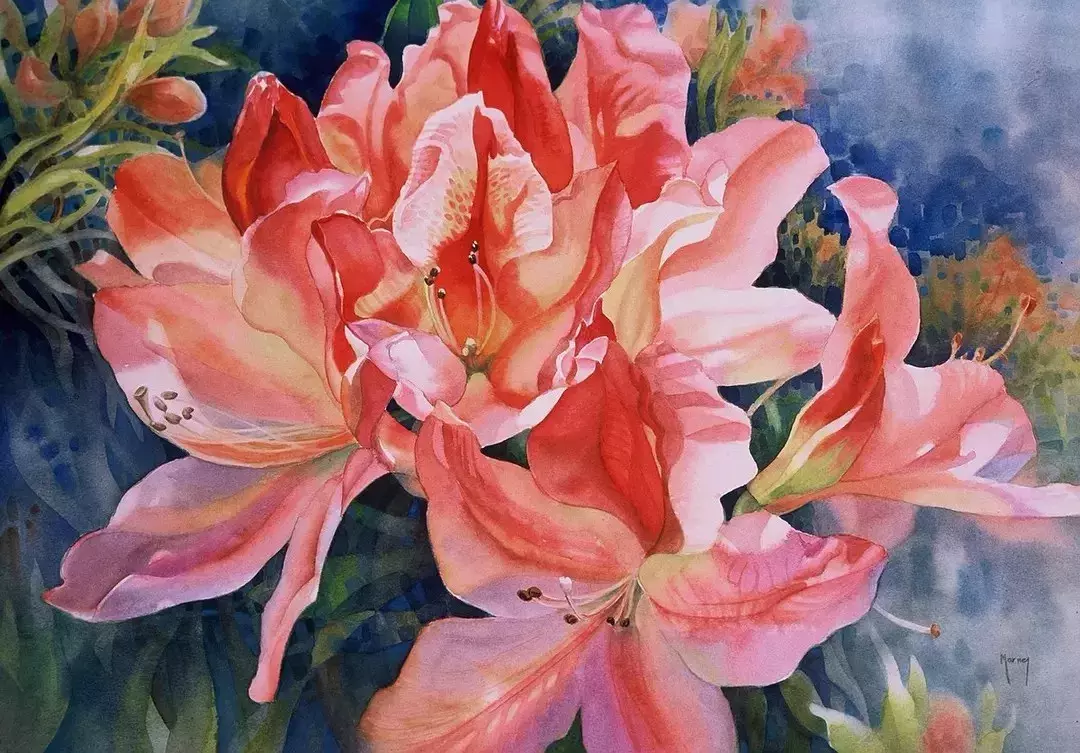 美到窒息的超写实水彩花卉 – 兜在学